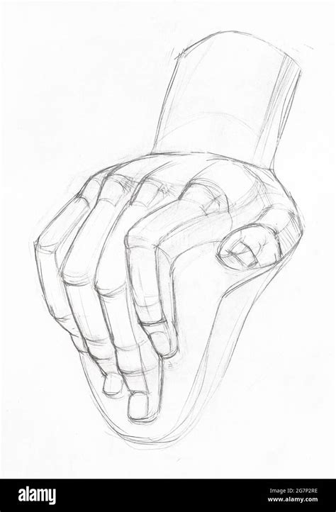 Academic Drawing Sketch Of Plaster Cast Of Male Hand Hand Drawn By