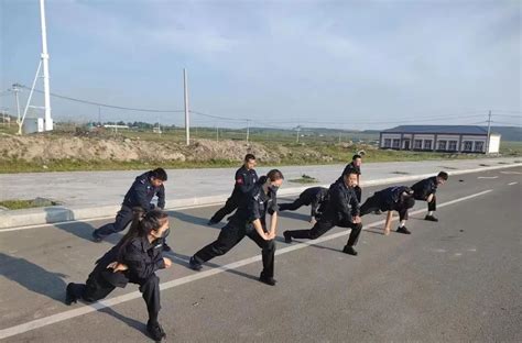 铸牢警魂 实战精兵——陈巴尔虎旗人民法院司法警察大队开展实战化训练 澎湃号·政务 澎湃新闻 The Paper