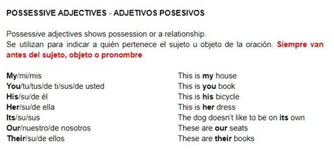 Diagrama De Possessive Adjectives Adjetivos Posesivos Quizlet