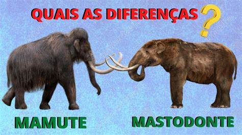 Quais As DiferenÇas Entre Os Mamutes E Os Mastodontes Onde Eles Viviam