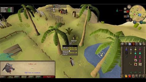 Osrs Callisto Cub Achieved Road To All Wildy Boss Pets 46 Youtube