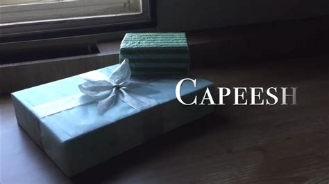 Capeesh An Indonesian Short Story For A School Project Youtube