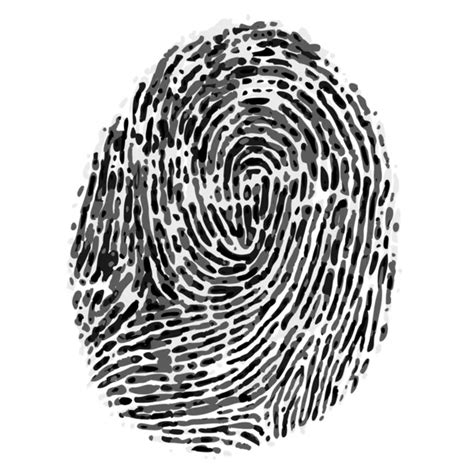 Vector Black Isolated Fingerprint On White Background Stock Vector By