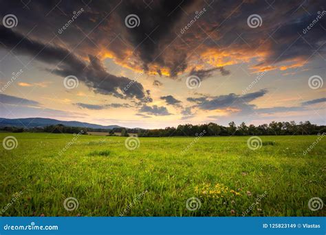 Red sky landscape stock image. Image of forest, meadow - 125823149