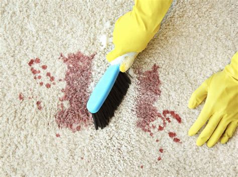 How To Remove Blood From Carpet With Household Products