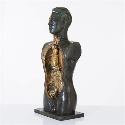 Anatomy Sculpture in Bronze and Gilded Details For Sale at 1stdibs