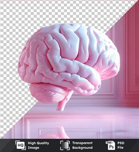 Fundo transparente um modelo isolado de um cérebro humano em uma