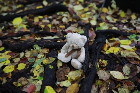 Premium Photo Adorable Brown Stuffed Toy Teddy Bear With Yellow Maple