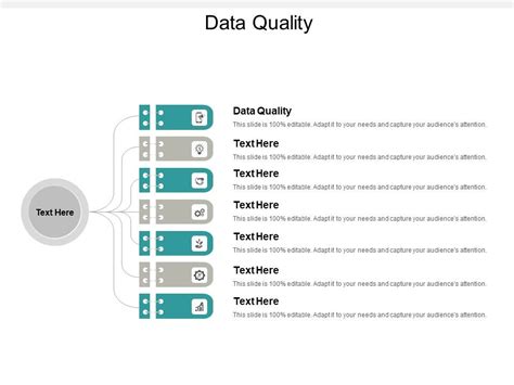 Data Quality Ppt Powerpoint Presentation Deck Cpb