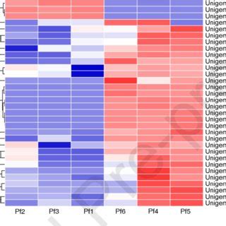 Heatmap showing differentially expressed genes in different groups. The ...