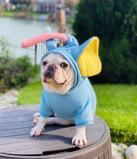 adult bulldog costume 2