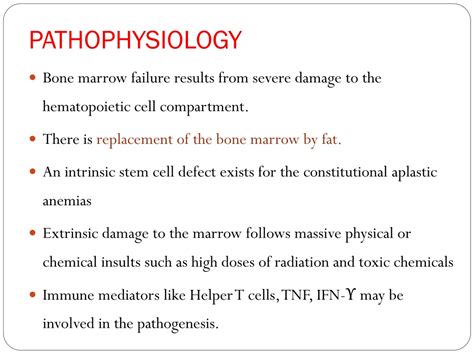 PPT - APLASTIC ANEMIA PowerPoint Presentation, free download - ID:300374