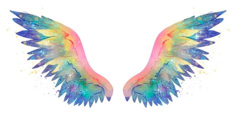 Anges Gardiens Quelle Est La Signification Des Plumes Selon Leur