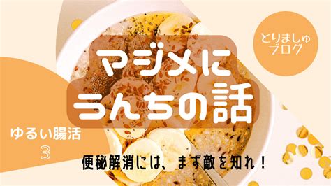 【ゆるい腸活】マジメにうんちの話☆便秘解消には、まず敵を知れ！ とりましゅブログ