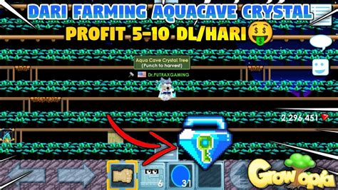 Profit 5 10 DL Hari Dari Farming Aqua Cave Crystal Cuan Parah