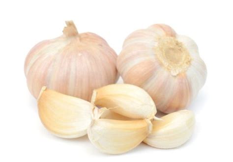 Garlic Allergy - Symptoms, Causes, and Treatment – AllergiesInfo