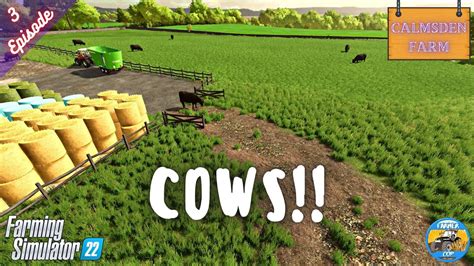 COWS Calmsden Farm Episode 3 Farming Simulator 22 YouTube