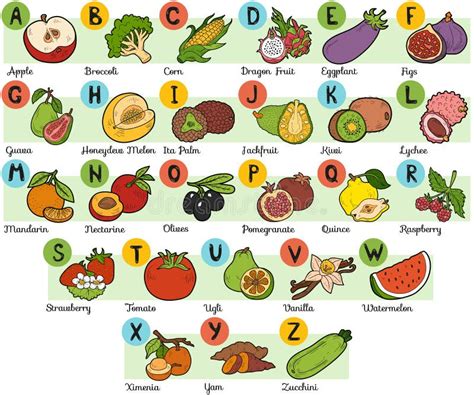 Alfabeto Da Cor Para Crian As Frutas E Legumes Ilustra O Do Vetor