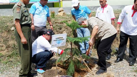 Pln Tanam Pohon Di Hari Menanam Pohon Indonesia Radio