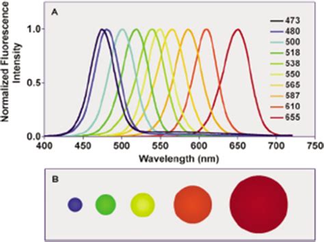 Semiconductor II VI Quantum Dots With Interface States And Their