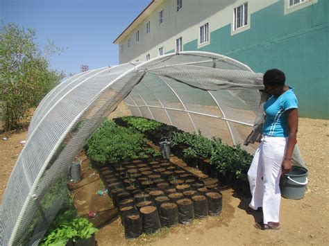 Dr Frans Indongo Primary School Veggietunnel Project