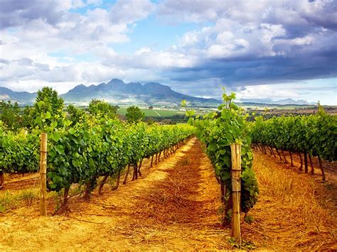 Cape Winelands Holiday | Voyage2Africa