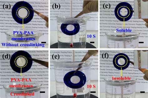 Figure 3 From Green Electrospun And Crosslinked Poly Vinyl Alcohol