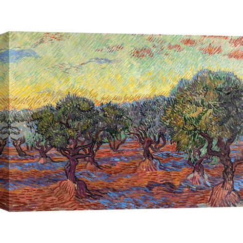 Ophelia Co Olive Grove Saint R My By Vincent Van Gogh Wrapped