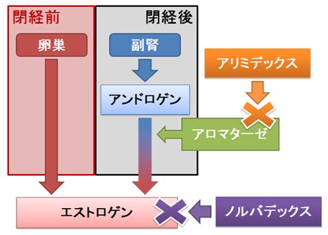 乳がん お薬q＆a 〜fizz Drug Information〜