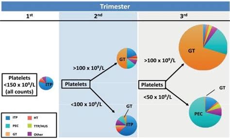 Depicts The Diagnosis And Approach To Management Of Thrombocytopenia In Download Scientific