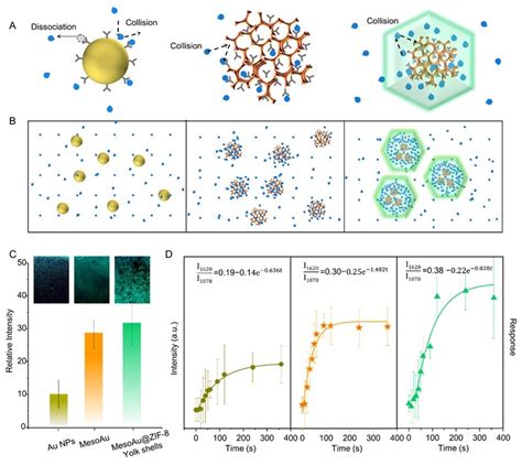 西安交大方吉祥教授团队nano Lett：新型纳米传感技术突破，助力早期肺癌非侵入性检测 X Mol资讯