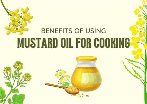 Benefits Of Using Mustard Oil For Cooking Unveiling The Nutritional