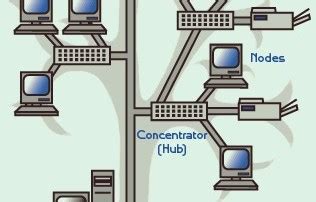 Tree topology examples Archives - IT Release