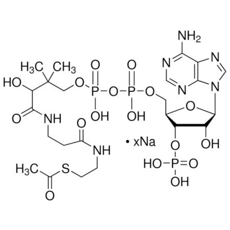 Acetyl Coenzyme A Sodium Salt A2056 25MG SIGMA ALDRICH SLS