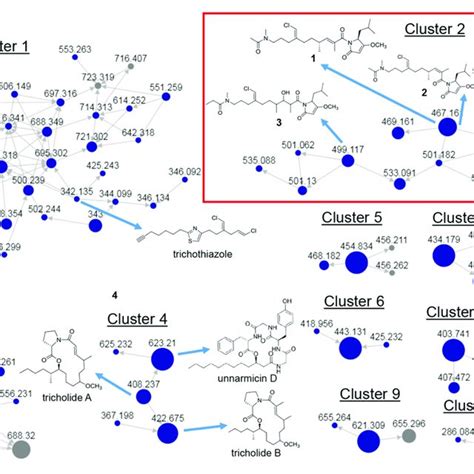 Msms Based Molecular Networking Cluster Identifying 1 3 And Download Scientific Diagram