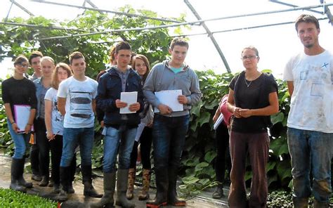 Kerlebost Visite d une ferme maraîchère Le Télégramme