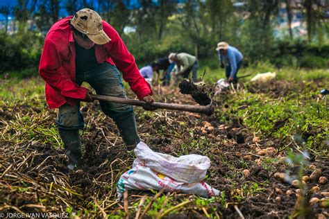 Hands At work :: Behance