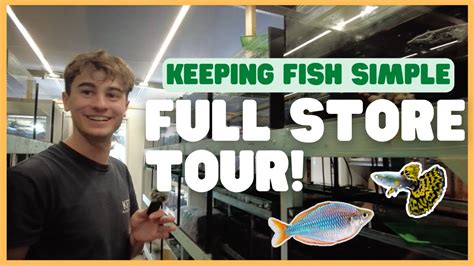 KeepingFishSimple FULL Store Tour From Breeding Fish At Home To Owning