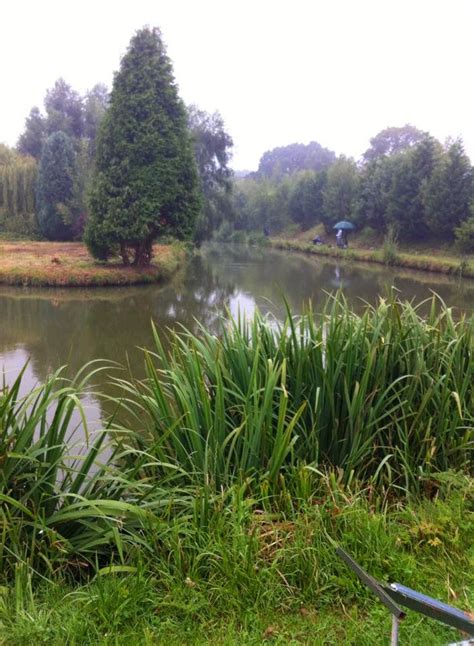 UK fishing venues: Pool Bridge Farm (Horseshoe Lake) - Venue Review