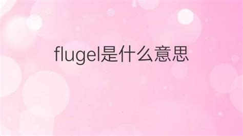 Flugel是什么意思 Flugel的翻译、读音、例句、中文解释 下午有课