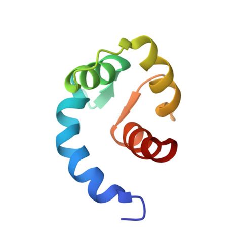 Rcsb Pdb Sw Solution Structure Of The N Terminal Domain Of Human