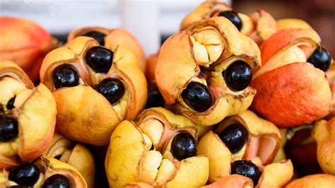 What Is Ackee And What Does It Taste Like