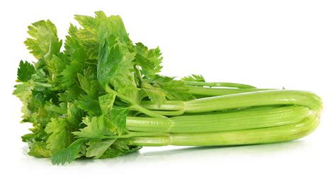 Celery Png Transparent Image Download Size 1100x600px