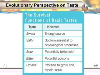 Gustation And Olfaction PPT