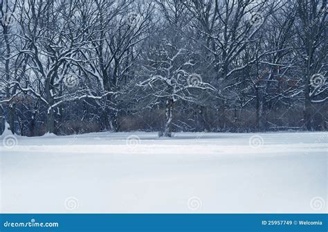 Midwest Winter Landscape stock image. Image of frosty - 25957749