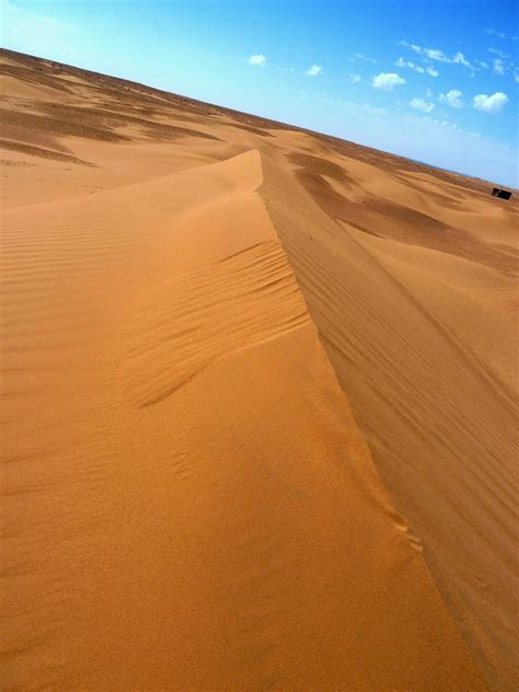 Multitasker Down In The Moroccan Sub Saharan Desert