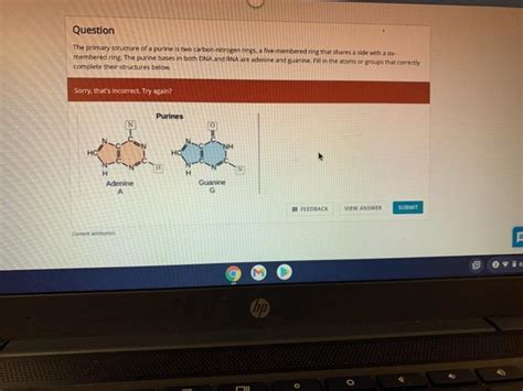 Solved Question The primary structure of a purine is two | Chegg.com