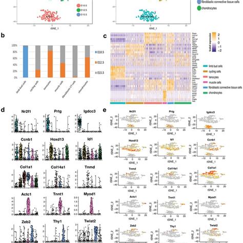 Single‐cell Transcriptome Analysis Distinguishes Various Cell Lineages