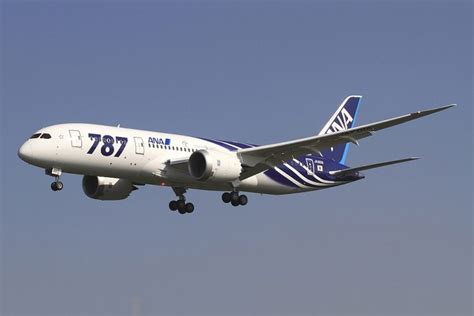 ANA Fleet Boeing 787-8 Dreamliner Details and Pictures