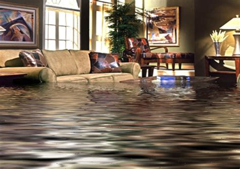 Top Causes Of Water Damage At Home And How You Can Prevent Them